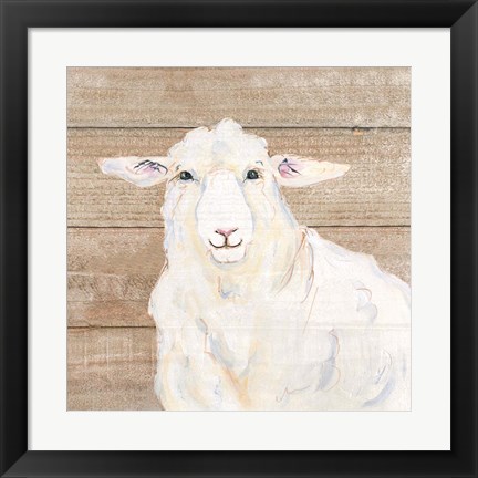 Framed Sheep Print