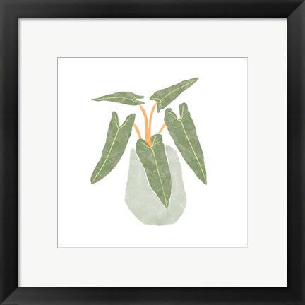 Framed Philodendron Billietiae II Print