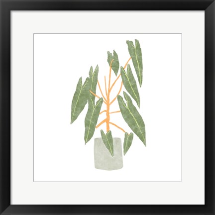 Framed Philodendron Billietiae III Print