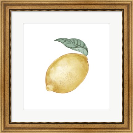 Framed Citrus Limon I Print