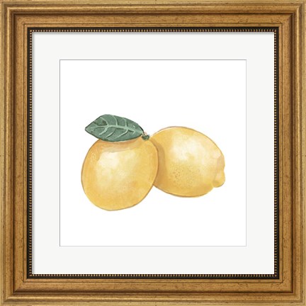 Framed Citrus Limon III Print