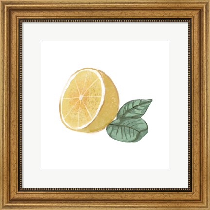 Framed Citrus Limon IV Print