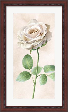 Framed Ivory Roses Panel I Print