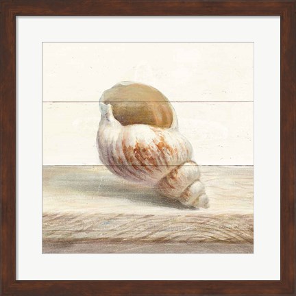 Framed Driftwood Shell I Print