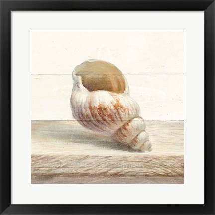 Framed Driftwood Shell I Print