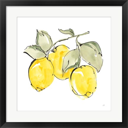 Framed Lemons IV Print