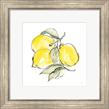 Framed Lemons III Print