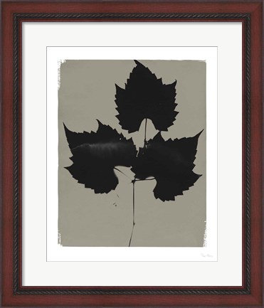 Framed Nature by the Lake Leaves I Gray Print