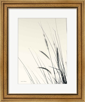 Framed Field Grasses II Print