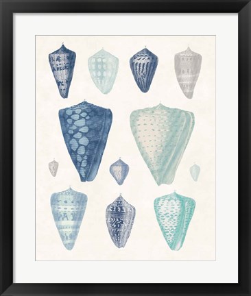 Framed Blue Shell Assortment II Print