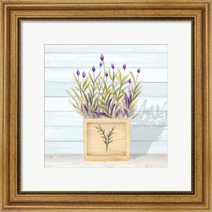 Framed Lavender and Wood Square II Print