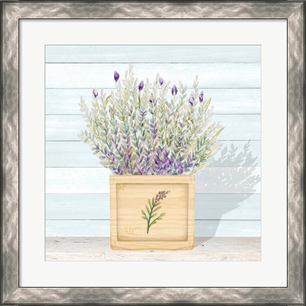 Framed Lavender and Wood Square III Print