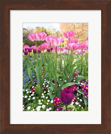 Framed Spring Garden Print