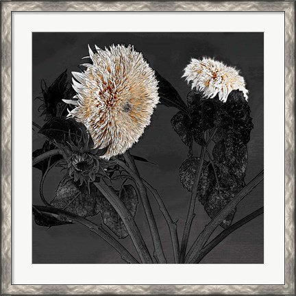 Framed Sunflowers I Print