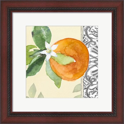 Framed Orange Blossoms I Print