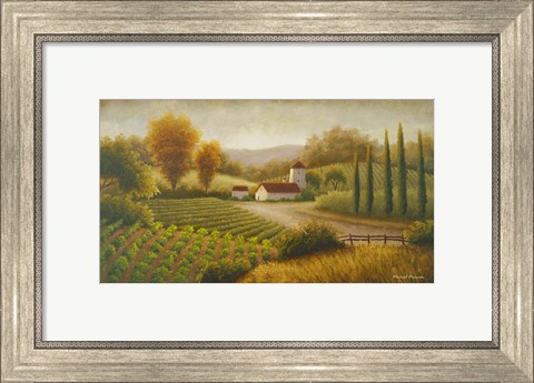 Framed Vineyard In The Sun II Print