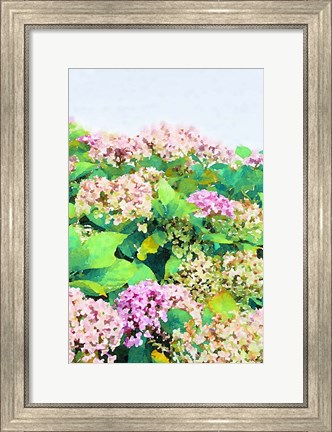 Framed Garden Beauties I Print