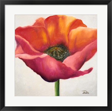 Framed Poppy Flower I Print