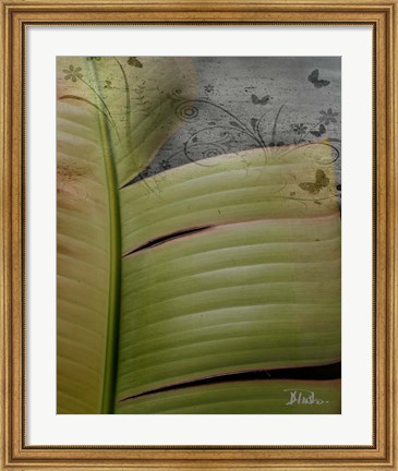 Framed Butterfly Palm II Print