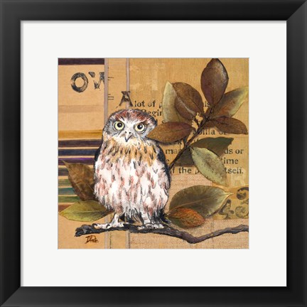 Framed Little Owls I Print