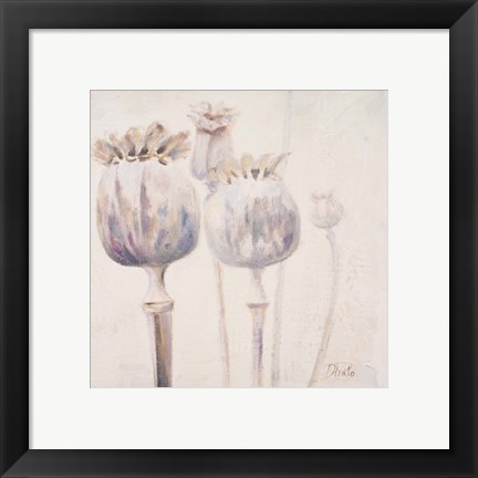 Framed Poppy Seeds II Print