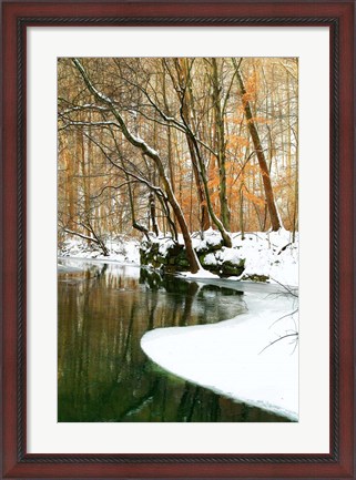 Framed Serene Creek Print