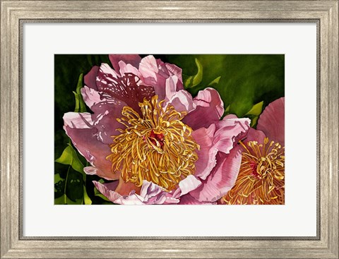 Framed Summer Shadows Print