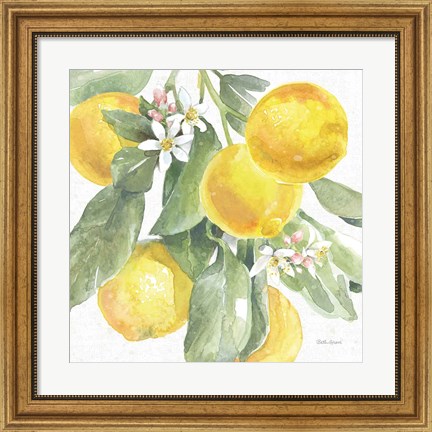 Framed Citrus Charm Lemons II Print