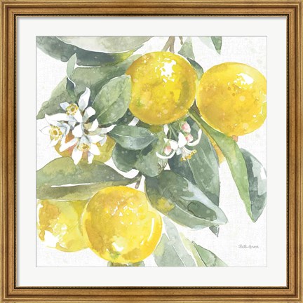 Framed Citrus Charm Lemons I Print