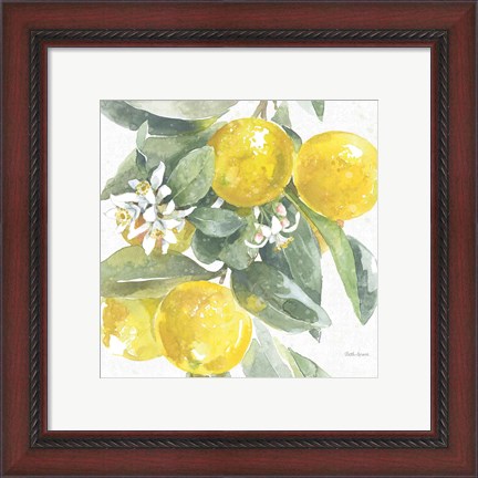 Framed Citrus Charm Lemons I Print