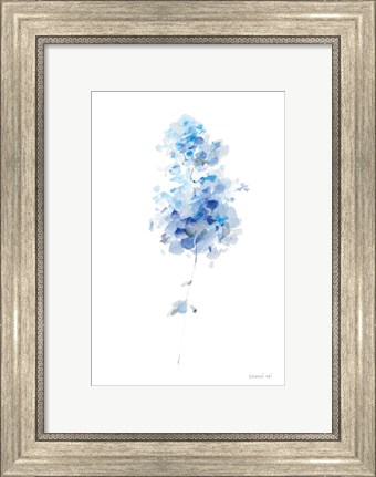 Framed Flower Study II Print