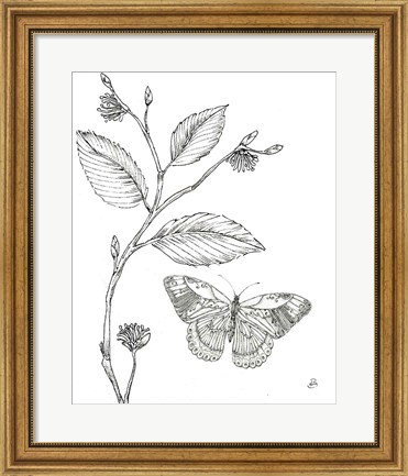 Framed Outdoor Beauties Butterfly I Print