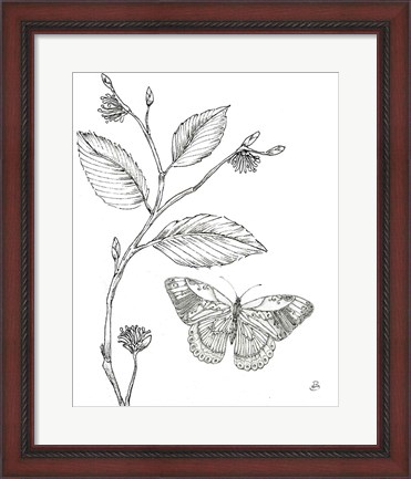 Framed Outdoor Beauties Butterfly I Print