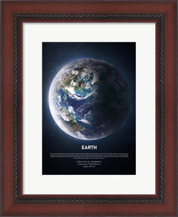 Framed Earth Print