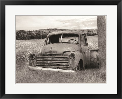 Framed Rustic Charm II Print