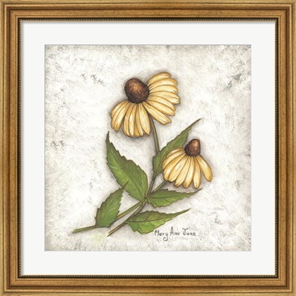 Framed Yellow Coneflowers Print