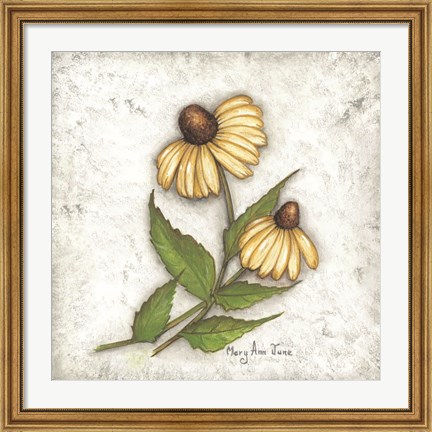 Framed Yellow Coneflowers Print