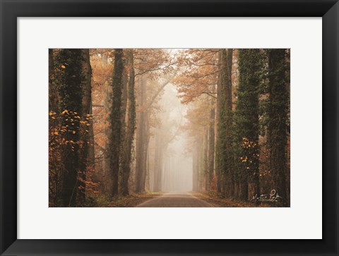 Framed Foggy Autumn Road Print