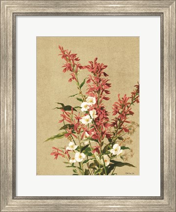 Framed Meadow Flowers 2 Print