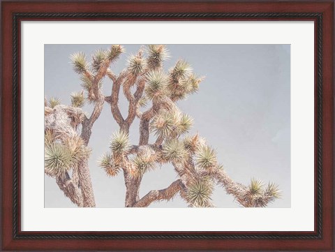 Framed Desert Floral I Print