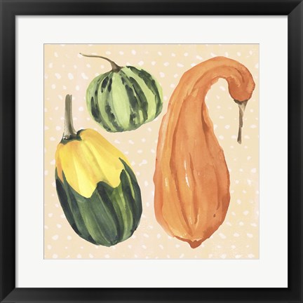 Framed Decorative Gourd IV Print