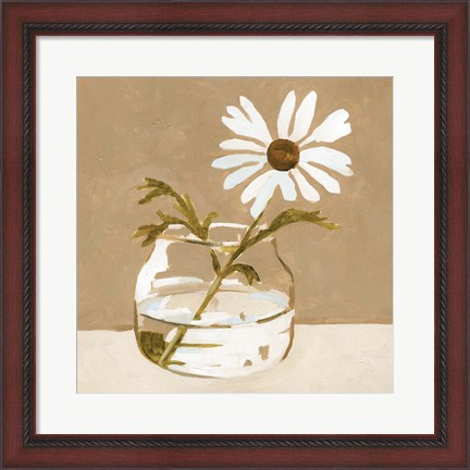 Framed Solitary Daisy II Print