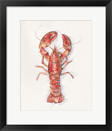 Framed Salty Lobster I Print