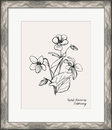 Framed Annual Flowers II Print