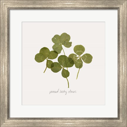 Framed Pressed Clover I Print