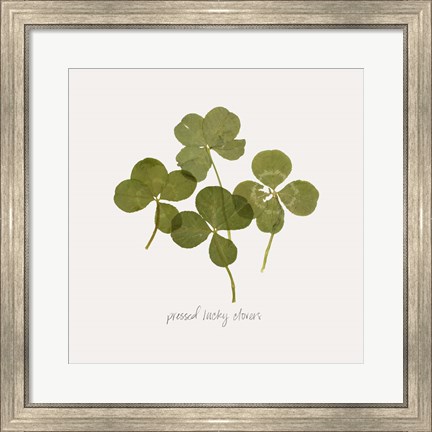 Framed Pressed Clover I Print