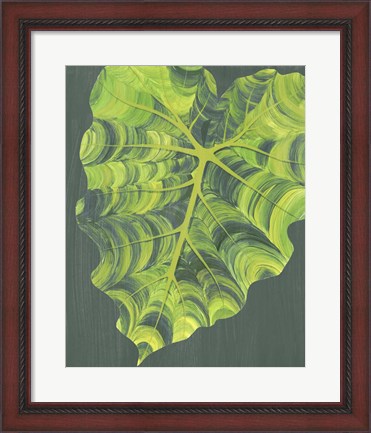 Framed Elephant Ears II Print