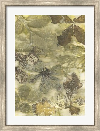 Framed Eco Print II Print