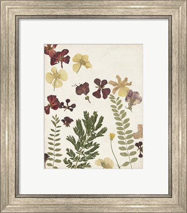 Framed Pressed Flower Arrangement I Print