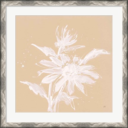 Framed Echinacea II Print